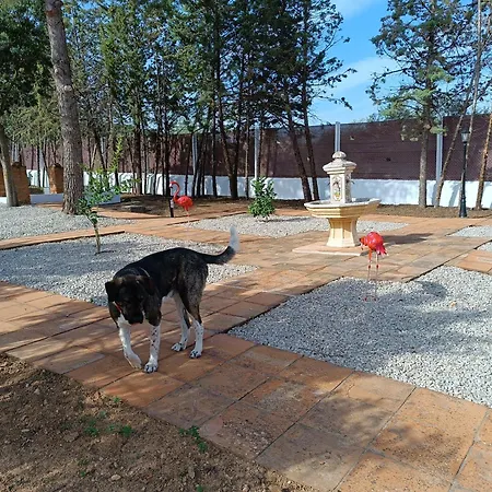 Casa Sierrecilla Homestay
